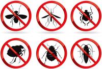 Residential Pest Control Brisbane image 5